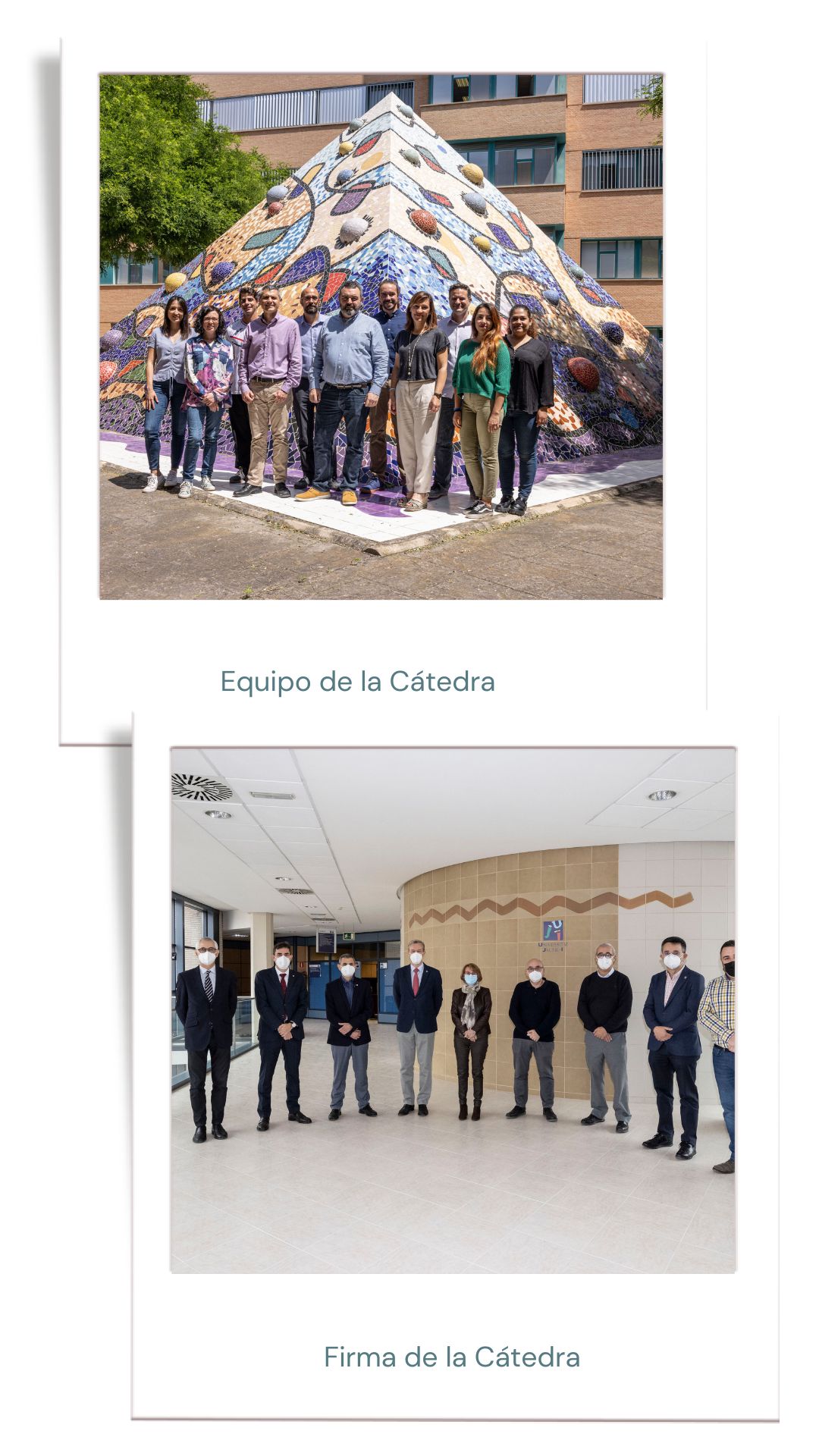 imagenes constitucion catedra